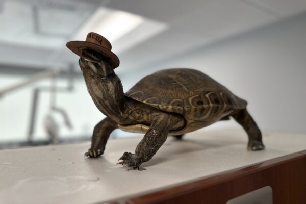 Gregson Family Dentistry_Office Tour_20250925_0009