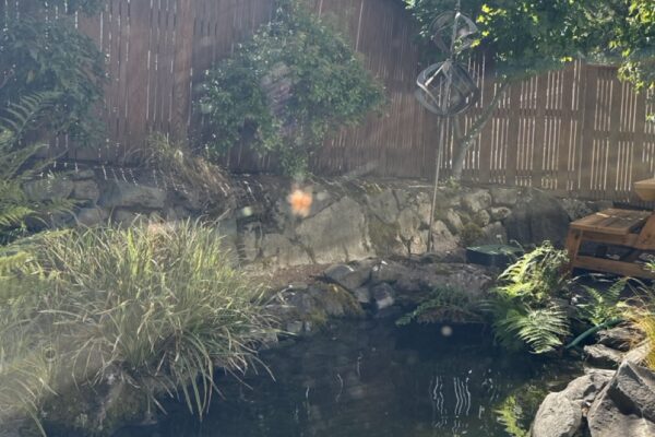 Gregson Family Dentistry_Office Tour_20250925_0013