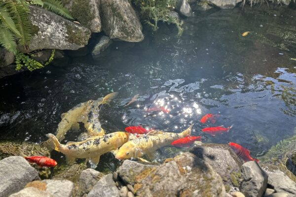 Gregson Family Dentistry_Office Tour_20250925_0017