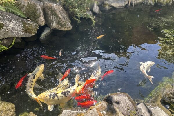 Gregson Family Dentistry_Office Tour_20250925_0018