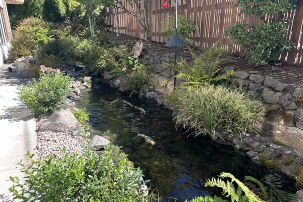 Gregson Family Dentistry_Office Tour_20250925_0020