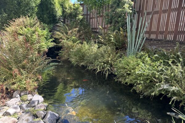 Gregson Family Dentistry_Office Tour_20250925_0022