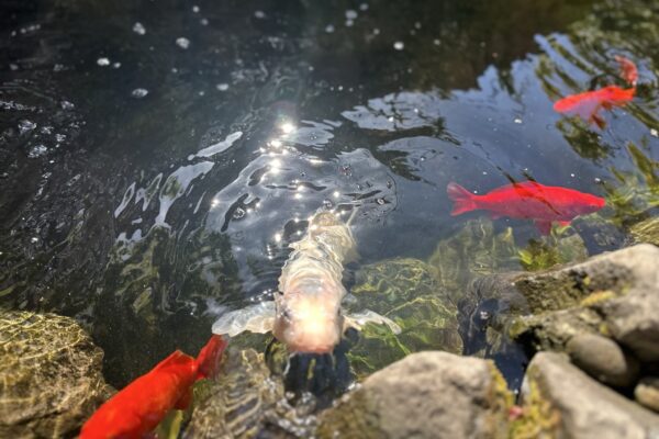 Gregson Family Dentistry_Office Tour_20250925_0031