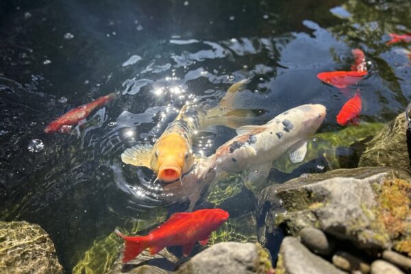 Gregson Family Dentistry_Office Tour_20250925_0033